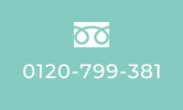 0120-799-381